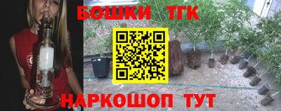 Альфа ПВП Бердск