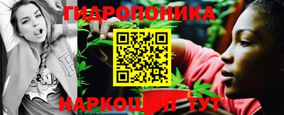 Альфа ПВП Бердск
