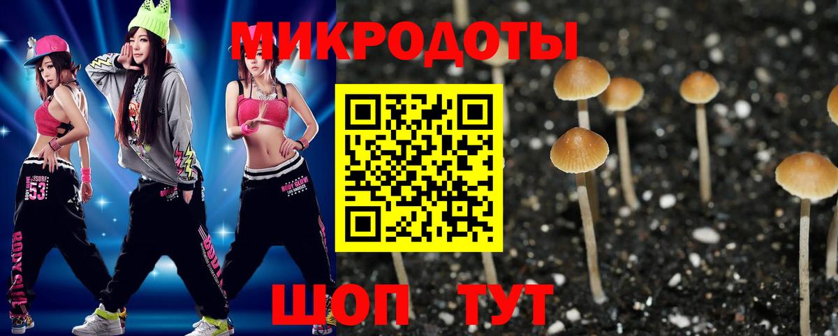Галлюциногенные грибы прущие грибы Ангарск