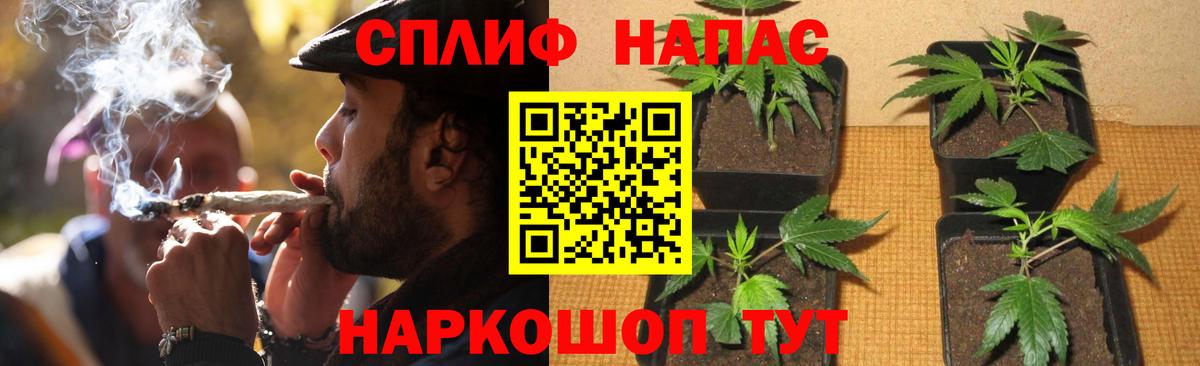 Бошки марихуана гибрид Ангарск